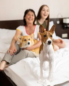 Центральный — фотография отеля